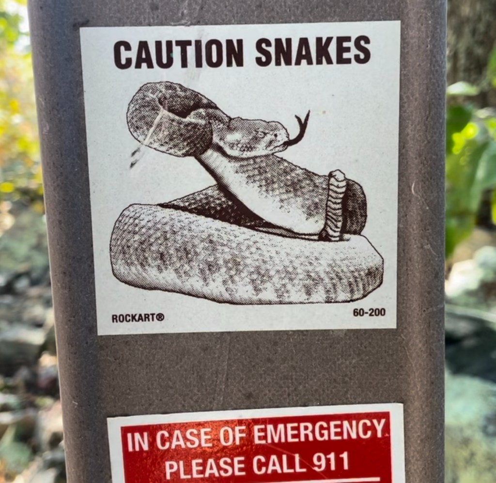 Not-meg Nor’Easter (the&nbsp;second)