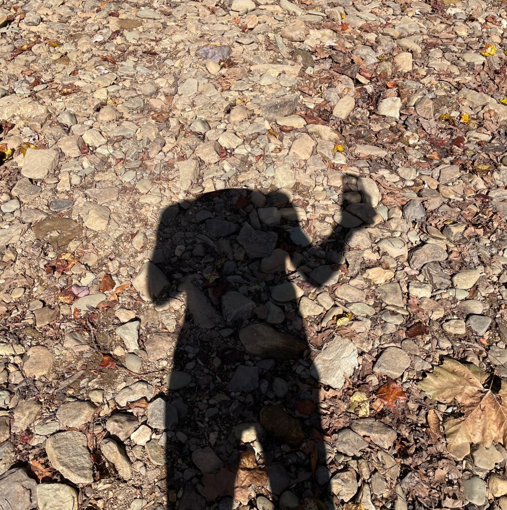 The Bicycle As Class&nbsp;War